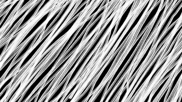 Black and white wiggly hand drawn scribble line texture background 