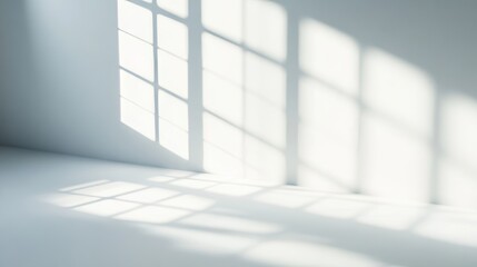 Black shadow overlay from window on white texture wall. Abstract background with sunlight. Mockups, posters, stationary, wall art, design presentations.