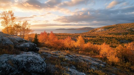 Obraz premium Autumnal Forest Overlooking a Lake with a Distant Island at Sunset