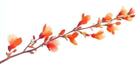 an ocotillo in bloom against a white background. cartoon, colorful