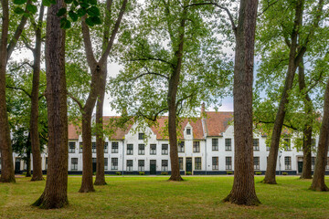 Obraz premium View of houses and the garden of the Beguinage Ten Wijngaerde, Bruges cityscape, Belgium