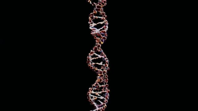DNA helix on black background.