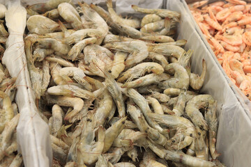 Fresh frozen shrimp in shell. Fish market. Shrimp from Ecuador fresh frozen in refrigeration chamber in supermarket. Sale of shrimp. Seafood on counter