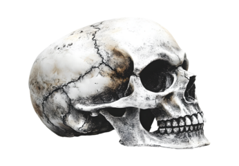Vintage White Skull Mask with Aged Texture on Transparent Background