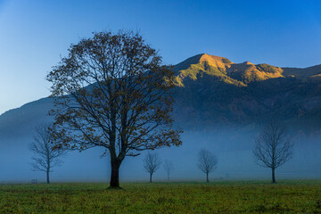sunrise in the mountains of the alps in autumn with forest