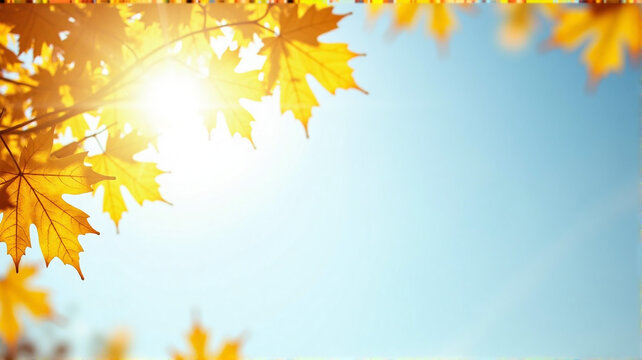 autumn leaves background