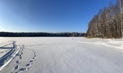 Lake covered with ice and snow in the forest