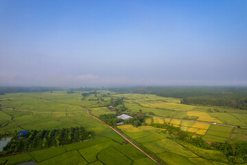 Fototapeta premium Beautiful aerial view natural of the terraced green and yellow rice field in rainy season for cultivation in Thailand.