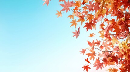 Vibrant Maple Tree Leaves Falling in Autumn Scene