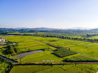 Obraz premium Building Beautiful Villages in China with Natural Ecological Countryside Scenery