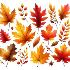 Obraz premium Autumn Leaves on White Background 