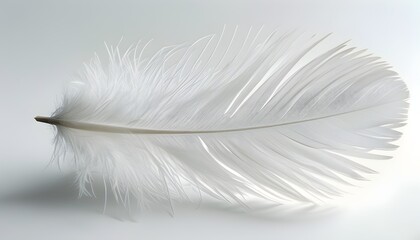 Obraz premium close-up of white feather isolated on white background perfect for digital resources