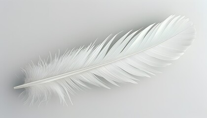 Obraz premium white feather in isolated close-up ideal for design resources on white background