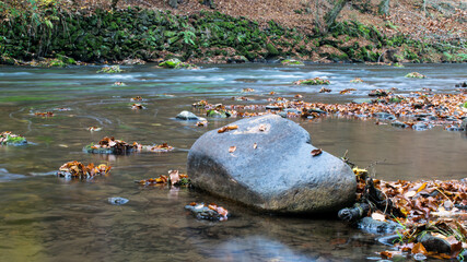 the Metuje River flows through the autumn forest