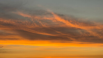 Fototapeta premium scarlet sunset in cloudy sky