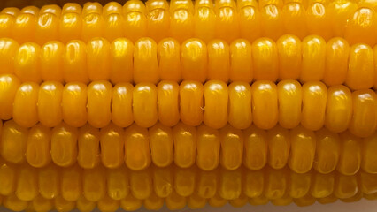 corn close up