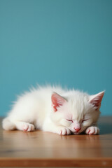 cute little kitten sleeping