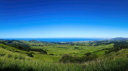 Obraz premium Panoramic View of Vast Grasslands Under Clear Blue Sky