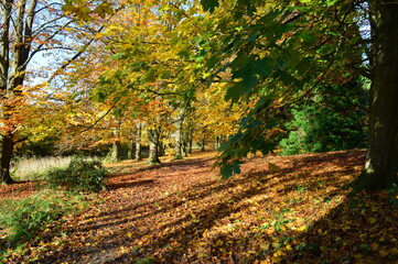 An English Autumn walk