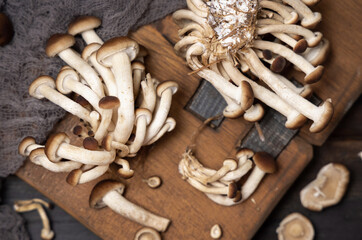 Fresh raw brown poplar mushrooms or velvet pioppini mushrooms on dark wood top view