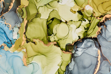 Naklejka premium Current of translucent hues intertwine with metallic gold veins, shaping organic luxurious landscape. This fluid art, abstract liquid ink technique, light and shadow dance across free-flowing textures