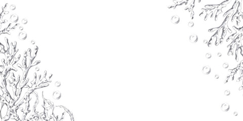 Obraz premium Rectangular frame with corner elements made of corals and air bubbles. Isolated pencil graphic illustration for seafood restaurant print design, menu