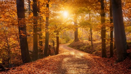 autumn in the forest