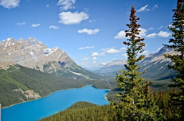 lake in the canadian rocky mountains