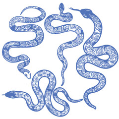 Fototapeta premium Element vector set of zentangle snakes 