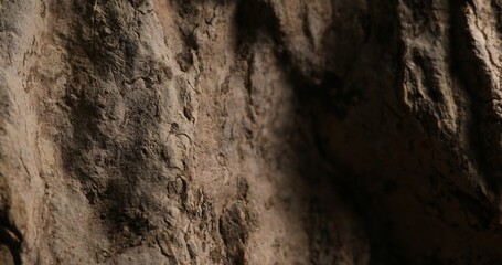 Textured Rock Surface with Shadows