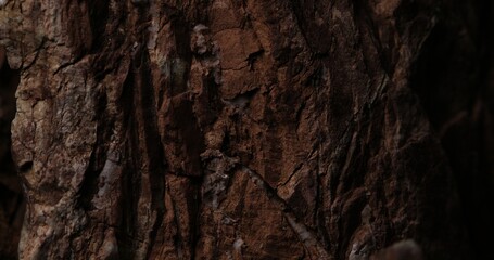 Close-up of a Rough Textured Rock Formation