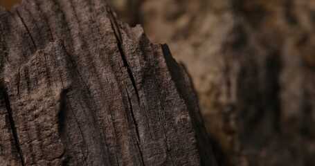 Detailed View of Dark, Textured Wood Surface