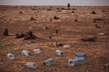 Obraz premium A distant human silhouette, barren land with stumps and scattered empty water flasks in the foreground.