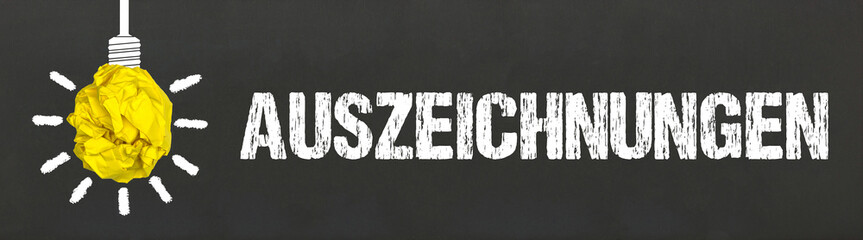 Auszeichnungen	

