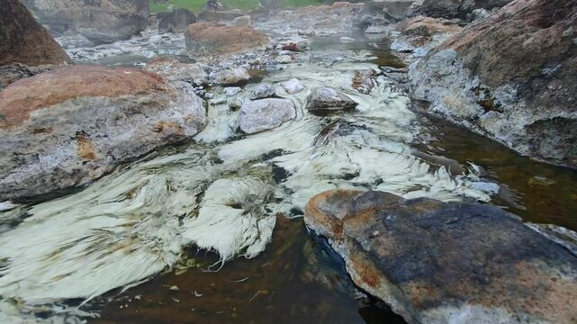 chloroflexus in hot springs water
