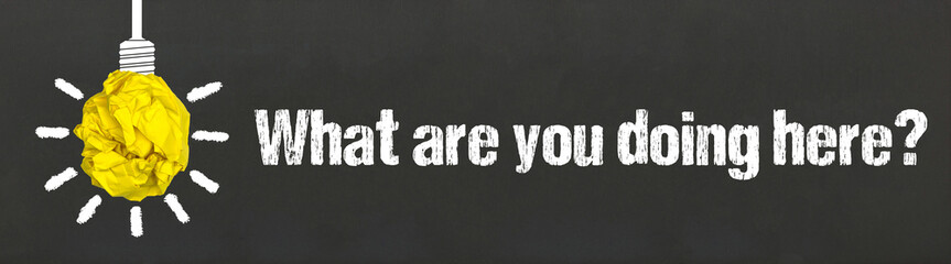 What are you doing here?	