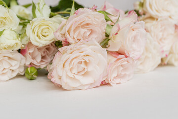 Enchanted pale pink and white roses lying on white background, macro, copy space. Floral background with beautiful rose flowers, still life, love, spring, romance design