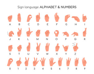 English Sign Language. Dactyl Alphabet and Numbers. Human hands showing different signs for deaf mutes. Nonverbal communication. Educational poster, banner. Isolated vector illustrations on white. © Iuliia Savko