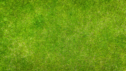 Green grass texture background, grass garden concept used for making green background football pitch, Grass Golf, green lawn pattern textured