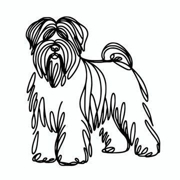 Minimalist briard dog line vector illustration element