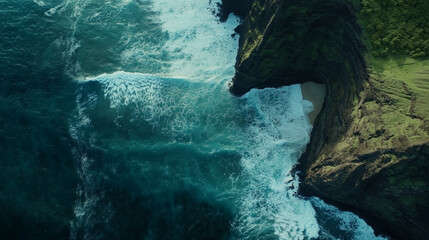 Fototapeta premium Vibrant Greenery and Volcanic Coastline along the Shores of Hawaii