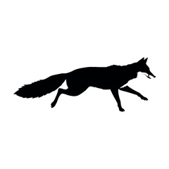 a fox running on the white background, vector art illustration, flat style