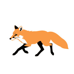Obraz premium a fox running on the white background, vector art illustration, flat style