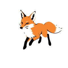 a fox running on the white background, vector art illustration, flat style