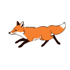 Obraz premium a fox running on the white background, vector art illustration, flat style