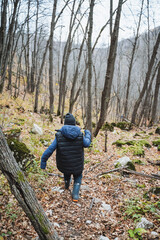 Obraz premium A person is leisurely walking along a winding path through a beautiful forest, surrounded by lush greenery and towering trees and enjoying the serenity of nature all around