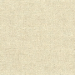 Fototapeta premium Seamless Beige Textured Paper with Soft Grain for Backgrounds and Wrapping Paper