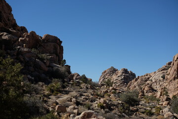 Joshua Tree National Park - October 2024