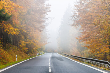 Road through a colored forest in a foggy autumn landscape.