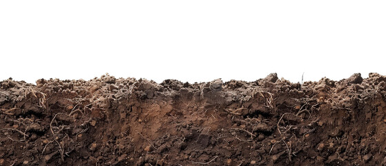 Soil cross-section showing layers of earth with roots and dirt, isolated on a white background for educational use.